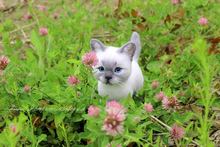 На прогулке — Валяные игрушки из шерсти: сухое валяние (фото 6)