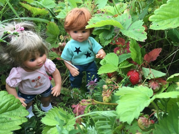 Мылыши от Gabriele Müller на даче
