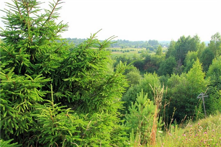 Тверской Водопад — Туризм и путешествия: фотоотчеты из поездок