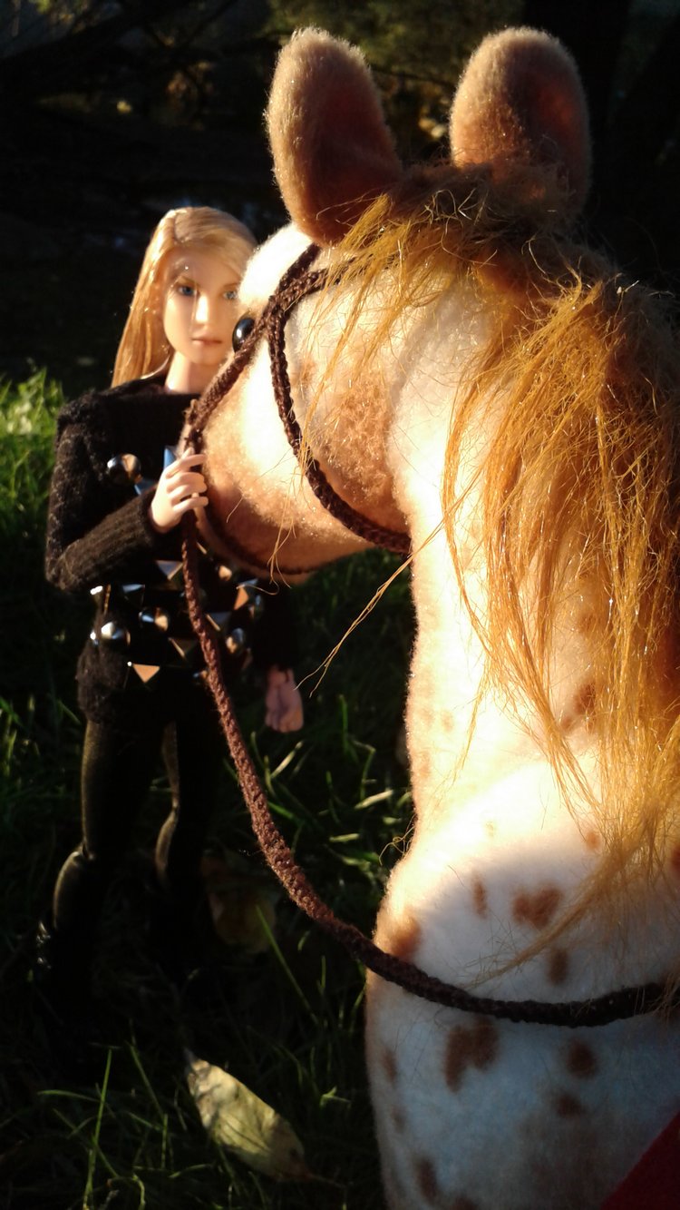 Зимнее солнце. Глава 6. Дом там, где сердце (фото 9)