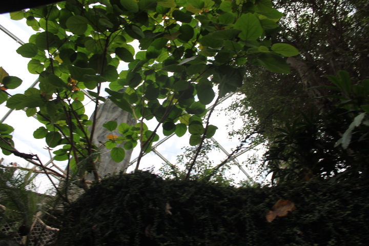 По Германии: зоопарк Лейпцига, часть 2