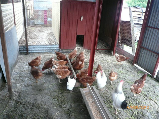 Кукла Адора - мое Солнышко (фото 7)