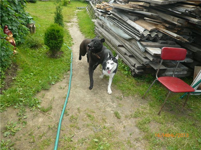 Настюша. Винтажная малышка