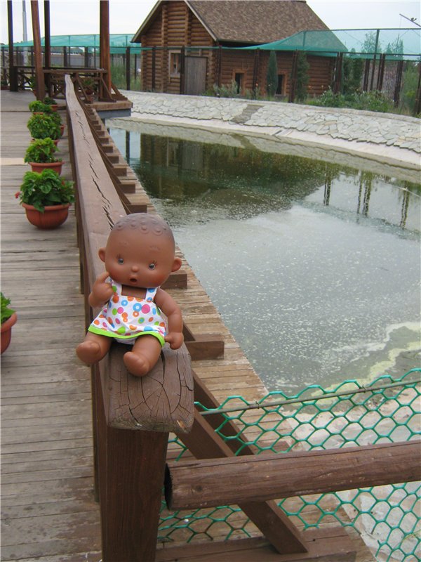 Пупсы Nines Artesanal D'Onil в Ижевском зоопарке