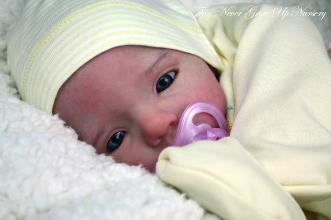 Новый молд куклы реборн Анна-Лиза от Дианны Эффнер