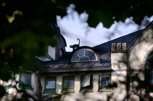 8 жизней. Фарфоровая кукла Angela McNeely от Ruby Doll | Бэйбики 8 жизней. Фарфоровая кукла Angela McNeely от Ruby Doll