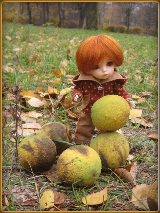 Люська(год со мной) — Одежда и обувь для кукол BJD (БЖД): 1/3