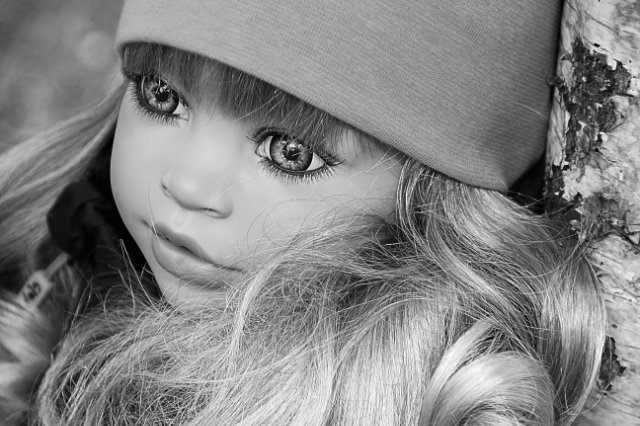 Красавица London на осенней прогулке