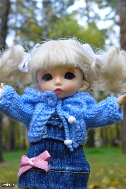 Вот так погуляли или Как у нас появилась кукла БЖД LittleFee Ante Elf