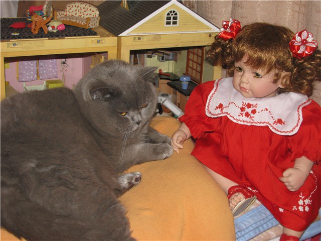 Рождественская Адора — Куклы Adora (Адора): коллекционные виниловые