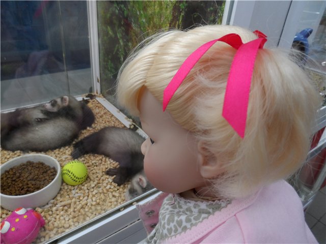 Мася на прогулке. Lee Middleton, Реган (фото 2)