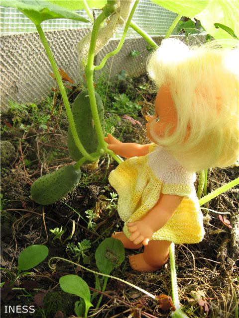 Поездка на дачу — Винтажные куклы ГДР (Немки): Бигги (фото 2)