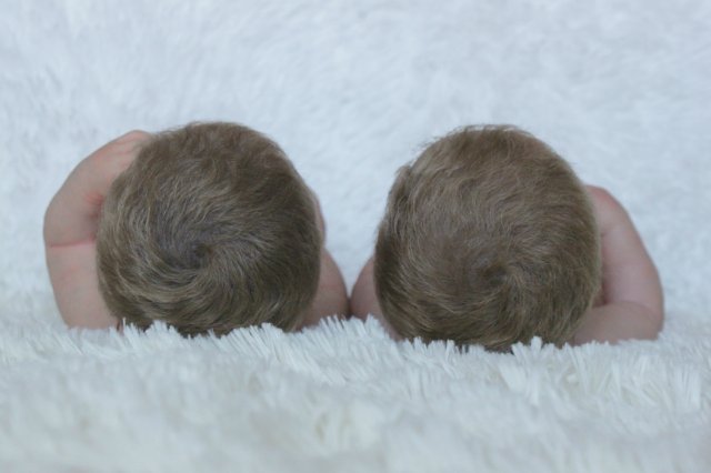 Кукляшечки близняшечки... Куколки реборн Виктории Вишни