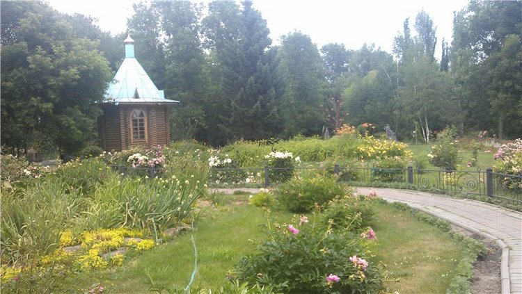 Маленький парк — Куклы Dollzone (Доллзон): BJD (БЖД) (фото 6)