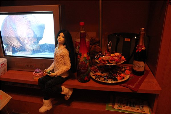 Новый Год 2016 для меня и Мишеля. Запоздалый отчет (фото 9)