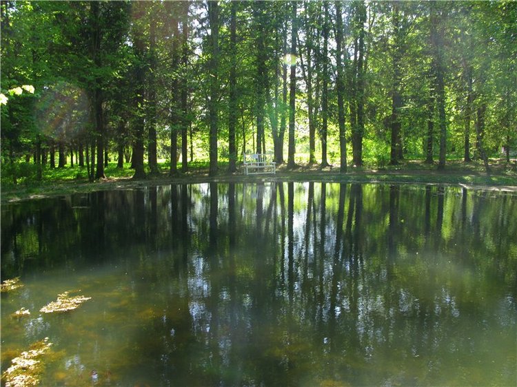 Субботний вояж. Заключительная часть