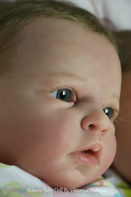 Близняшечки Ноа... Куколки реборн Виктории Вишни