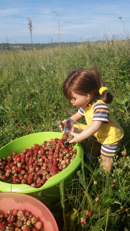 Земляничный день — Домашние коллекции кукол: фото собраний