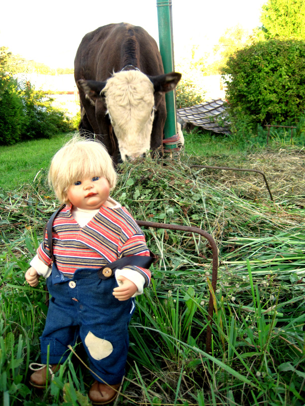 Выходные в деревне. Эдер - коллекционна кукла Susi Eimer (фото 5)