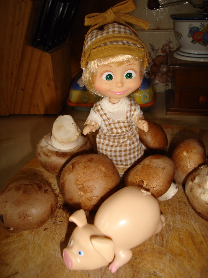 Одну Машку беру,на вторую смотрю,третью замечаю,а четвертая мерещется (фото 8)