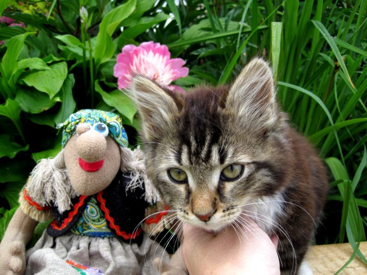 Бабушка из сказки — Коллекционные игрушки и фигурки: Lego