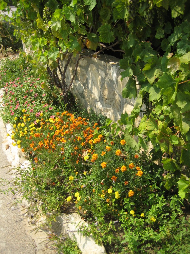 Вот такая вот Болгария — Туризм и путешествия: фотоотчеты из поездок