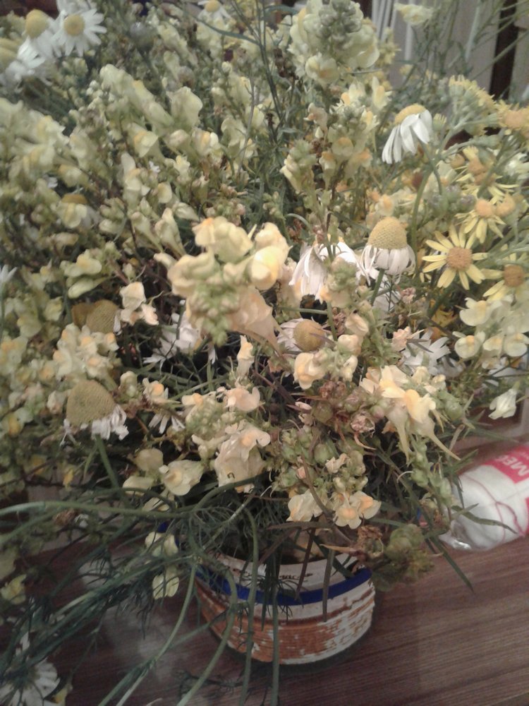 Псков: из лета в лето. Прогулки по городу и куклы