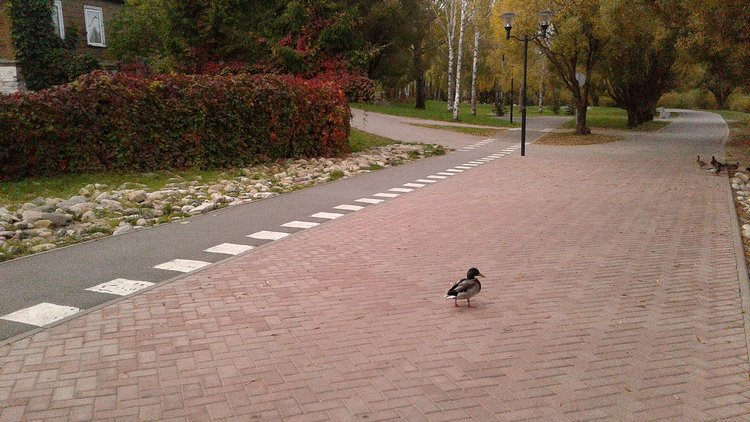 Зимнее солнце. Глава 6. Дом там, где сердце