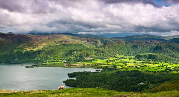 Зимнее солнце. Глава 8. Староста