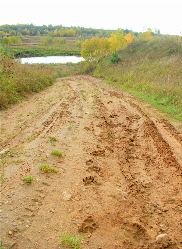 Тверской Водопад — Туризм и путешествия: фотоотчеты из поездок