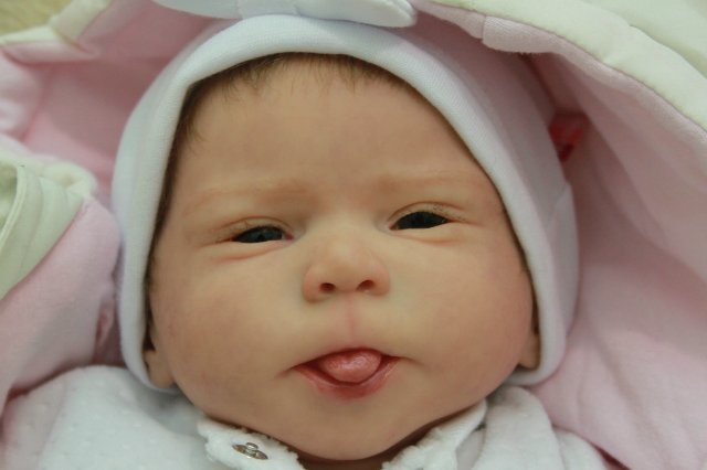 Фотоотчёт №1 с выставки кукол декабрь2014 от Элины Кудрявцевой | Бэйбики Фотоотчёт №1 с выставки кукол декабрь2014 от Элины Кудрявцевой