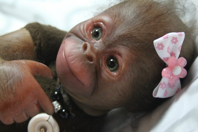 Бонька, обезьянка реборн Элины Кудрявцевой (фото 8)