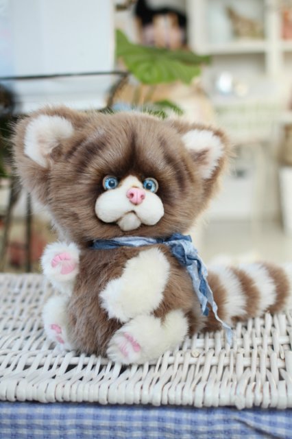 Голубоглазый котик-обормотик Мишка