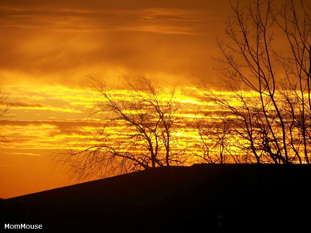 Очаровательные ангелы от Fayzah Spanos