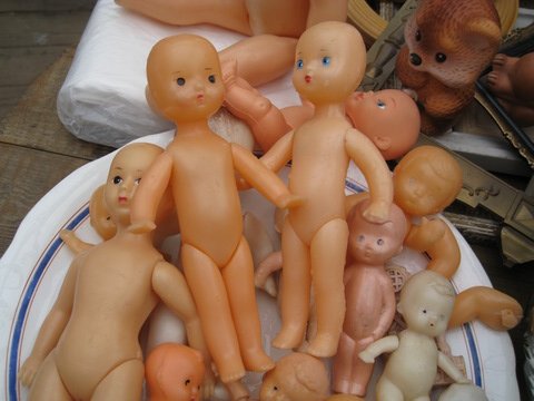 Мои любимицы детства снова со мной (фото 5)