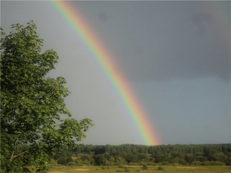 Ждем лета и верим в чудо! Куклы Готц и наряды