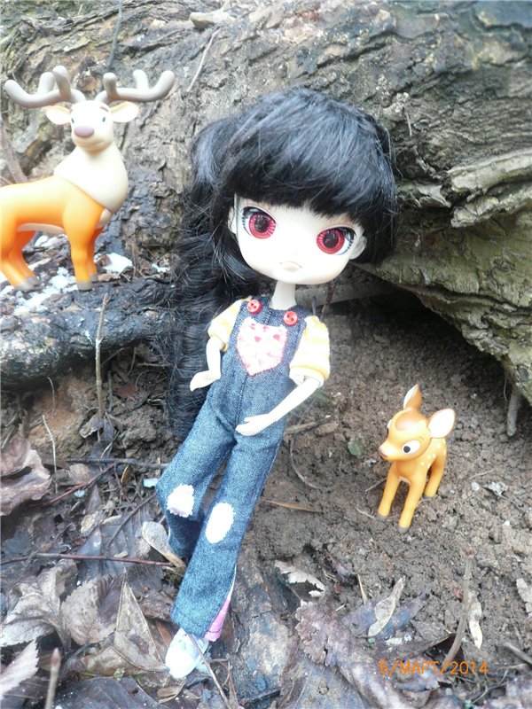 Люсенька - куколка Dal — Куклы Pullip (Пуллип)