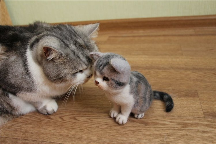 Котик Дени. Авторская игрушка Анны Ястрежембовской