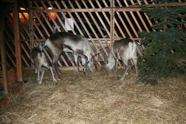 Еще немного рождества — Гибридизация кукол BJD (БЖД): пересадка головы (фото 10)