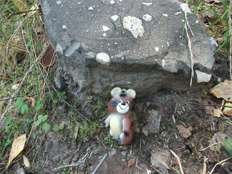 Миша-Мишанька-Моя любимая игрушка детства (фото 3)