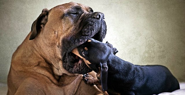 День дурака или день смеха! Вы готовы шутить и смеяться (фото 5)