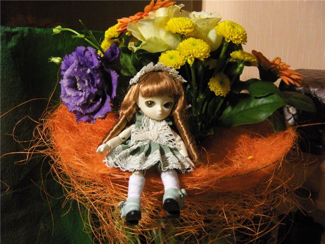 В моем новом домике новоселы (фото 4)