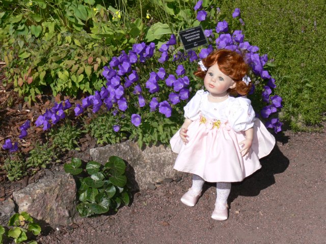 Прогулка в Ботаническом саду Санкт Петербурга. Часть 3. Садовая клумба