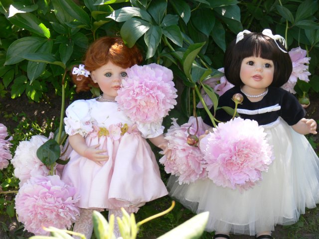 Прогулка в Ботаническом саду Санкт Петербурга. Часть 3. Садовая клумба (фото 3)