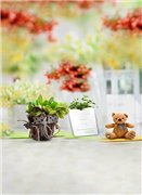 Закрыто. Совместная закупка фонов для фотографирования кукол