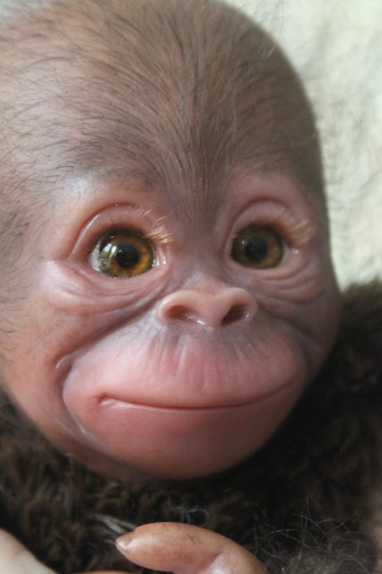 Обезьянка Bindi кукла реборн Элины Кудрявцевой