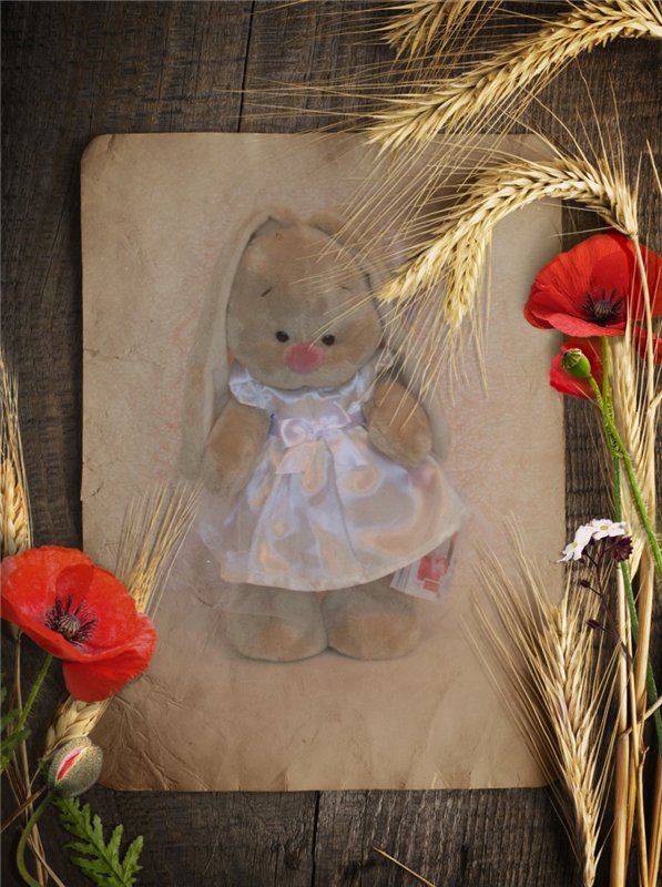 Зайка в подарок — Кот Басик (фото 3)