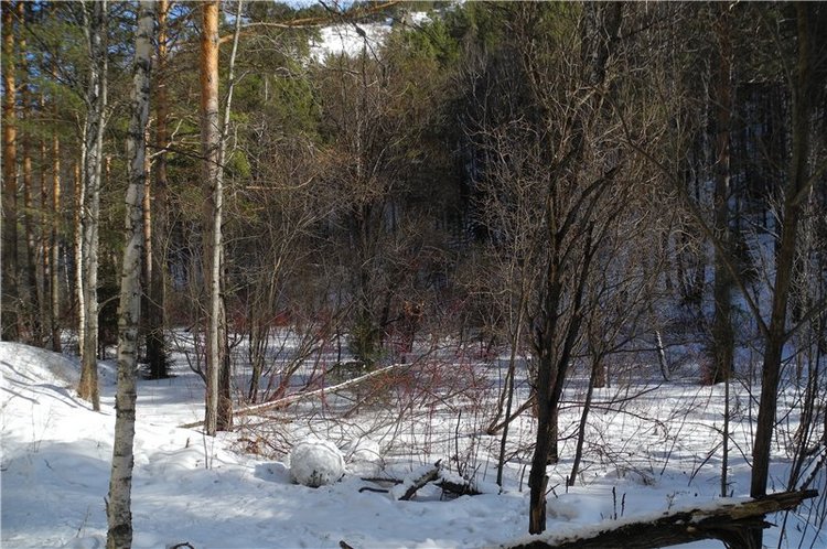 Моя весна итоги конкурса и фото которые ещё не видел никто (фото 9)