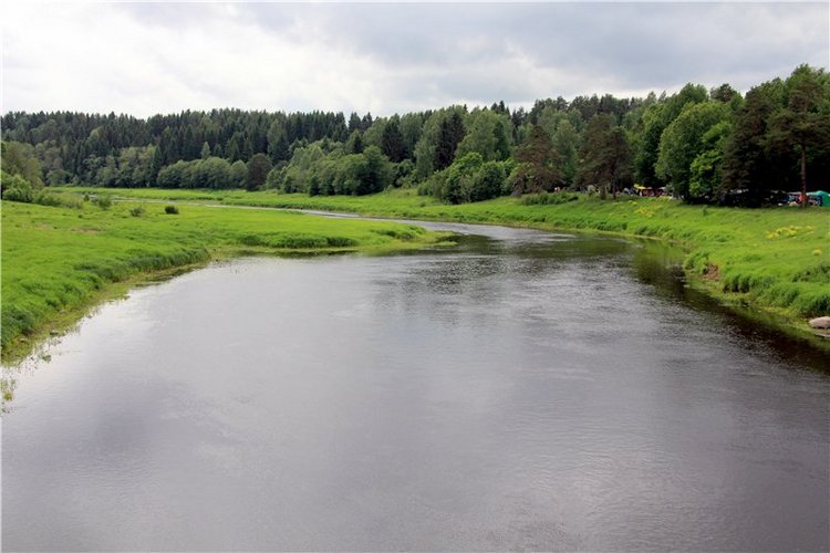 Троицкие гуляния у деревни Василёво, часть первая. Архитектурно-этнографический музей под открытым небом "Василёво"