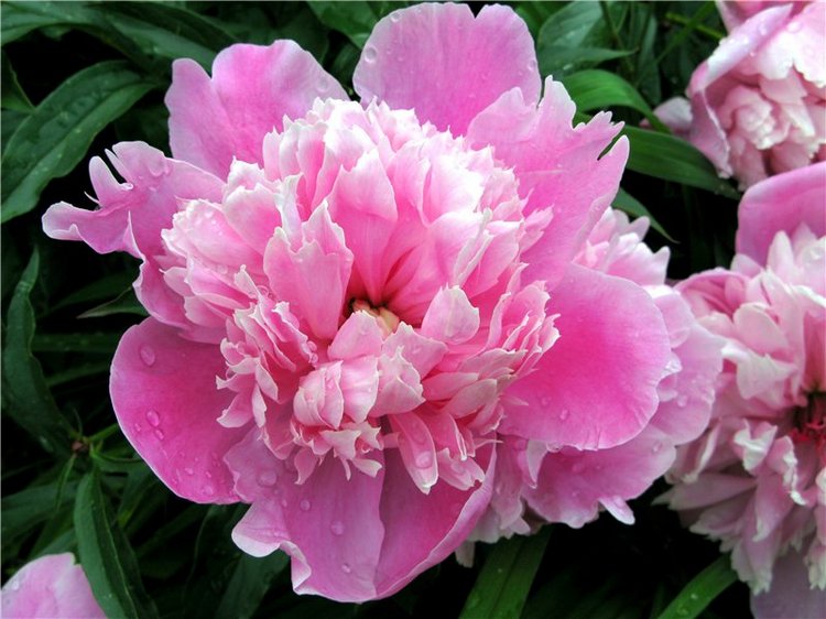 Кашин - город русского сердца. Часть седьмая. Вознесенский кафедральный собор